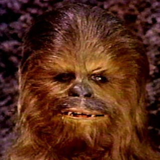 Chewbacca celebrates Life Day during The Star Wars Holiday Special