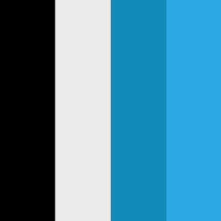 Template color scheme of black, light gray, dark blue and light blue
