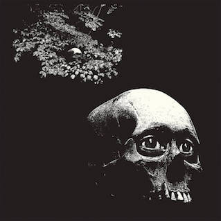 Cover of 2022 Osees LP A Foul Form