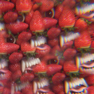 Cover of Thee Oh Sees 2013 LP Floating Coffin