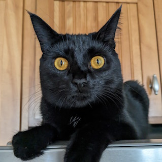 Jasmine a.k.a. Jazzy