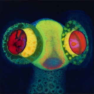 Cover of 2024 Osees LP Sorcs 80