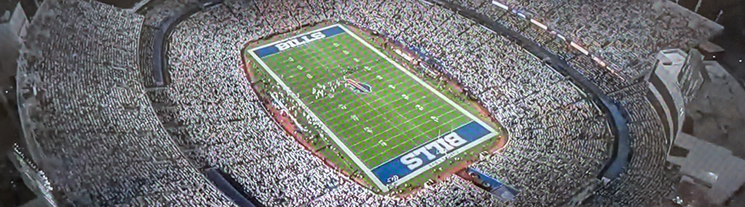 Ralph Wilson Stadium white-out